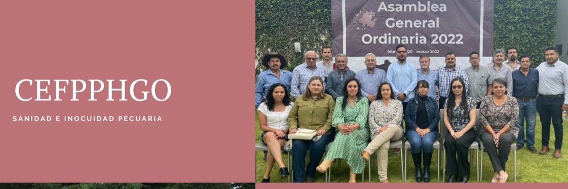 cefpphidalgo's profile banner image
