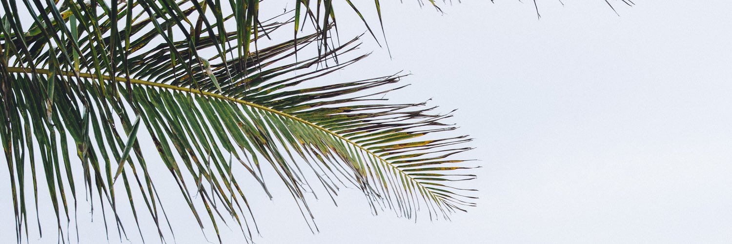 Michalawm's profile banner image