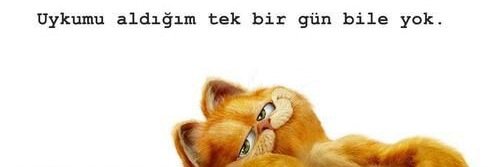 muhendsm's profile banner image