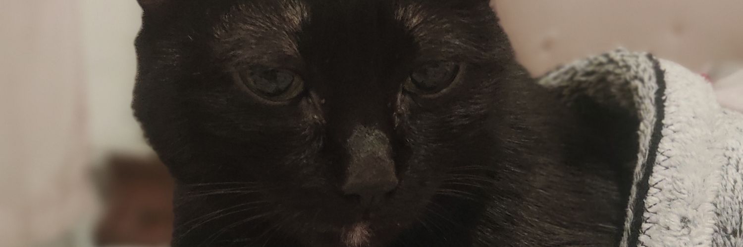 LivanSaroza's profile banner image