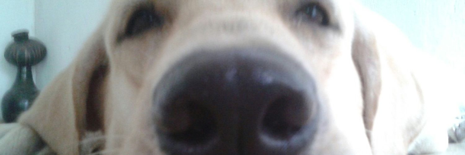 Gilenn_M's profile banner image