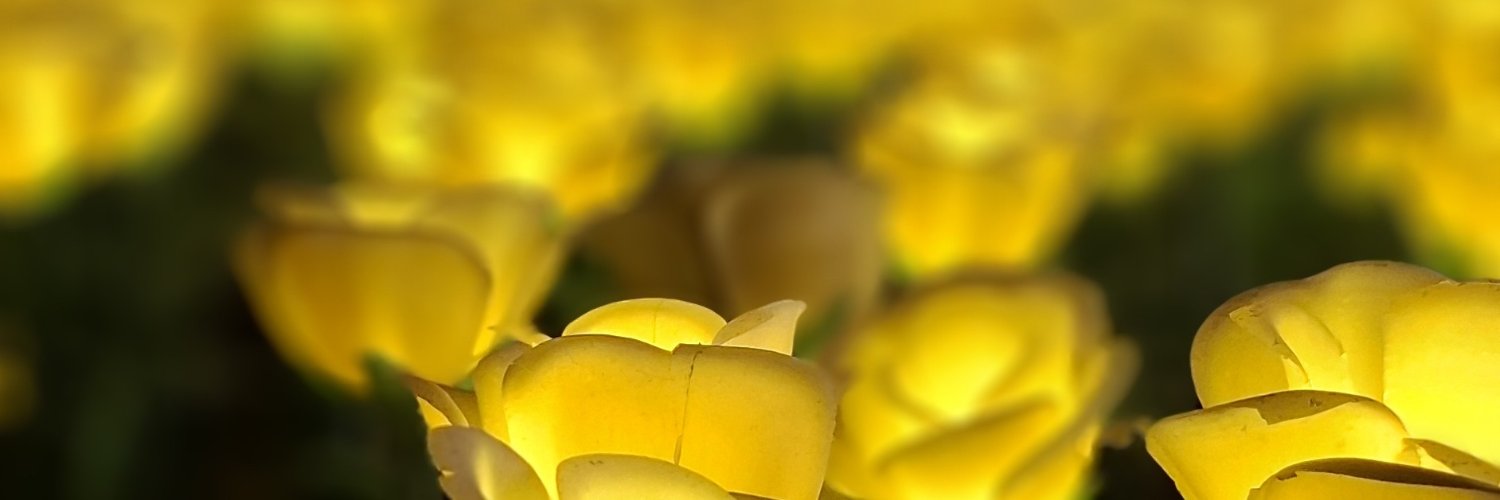 eor_02's profile banner image
