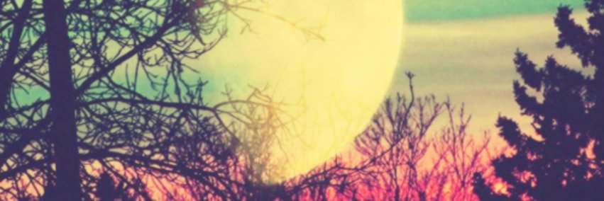 b_laryn07's profile banner image