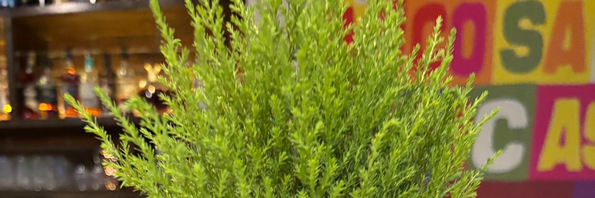 Yeluc banner