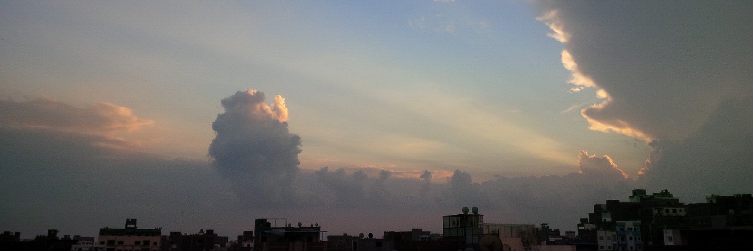 Mahmoud El Hadidy banner