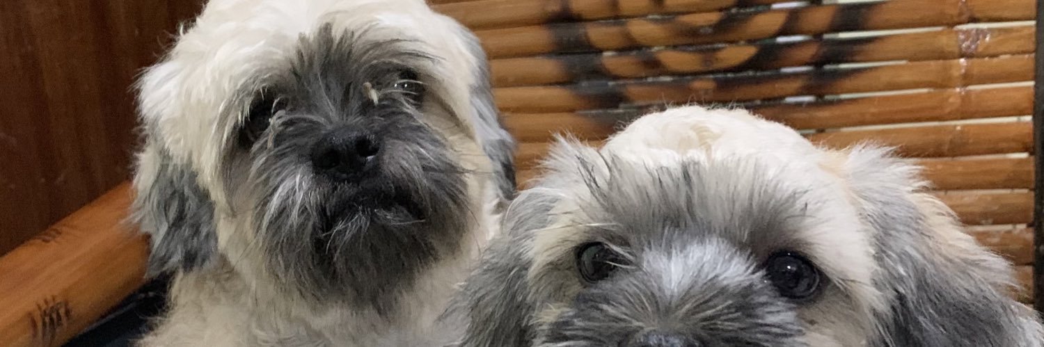 ckpederio's profile banner image