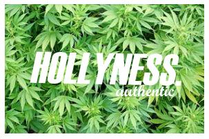Hollyness VRCS. banner