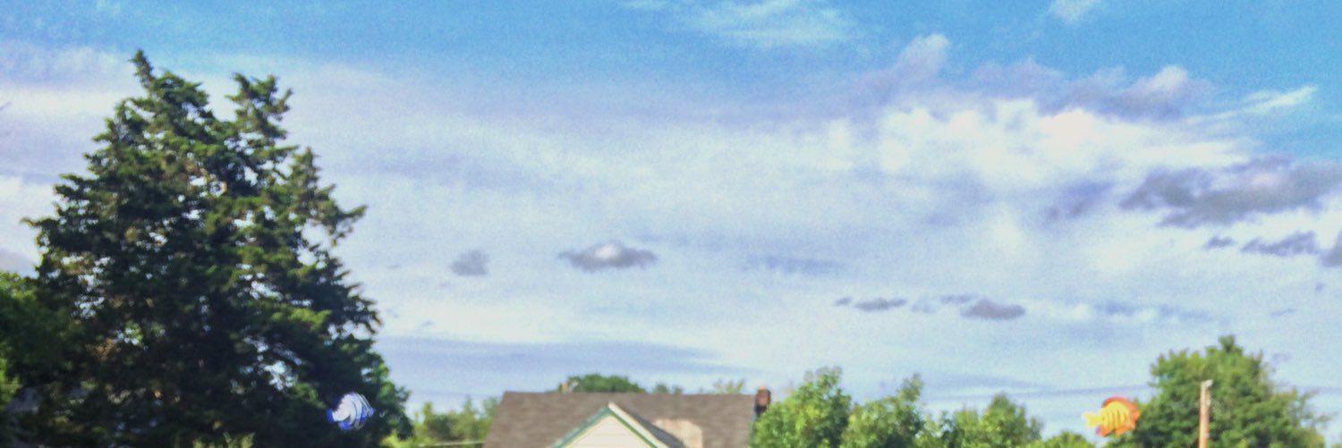 calicaaaat's profile banner image