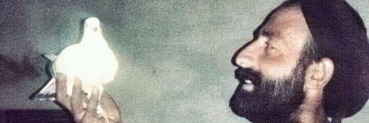 juji_juj's profile banner image
