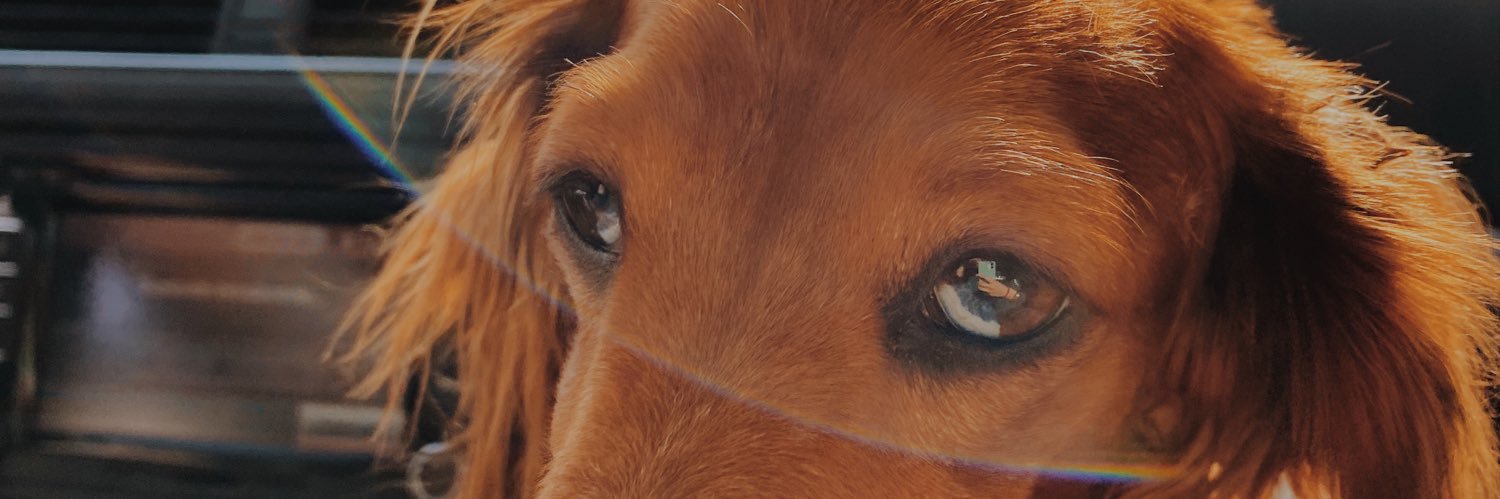 aaaabrillc's profile banner image