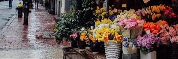 rozz_razan's profile banner image