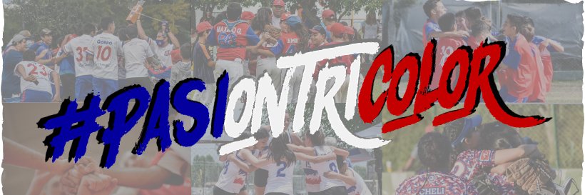 Los Cachorros Salta Argentina banner