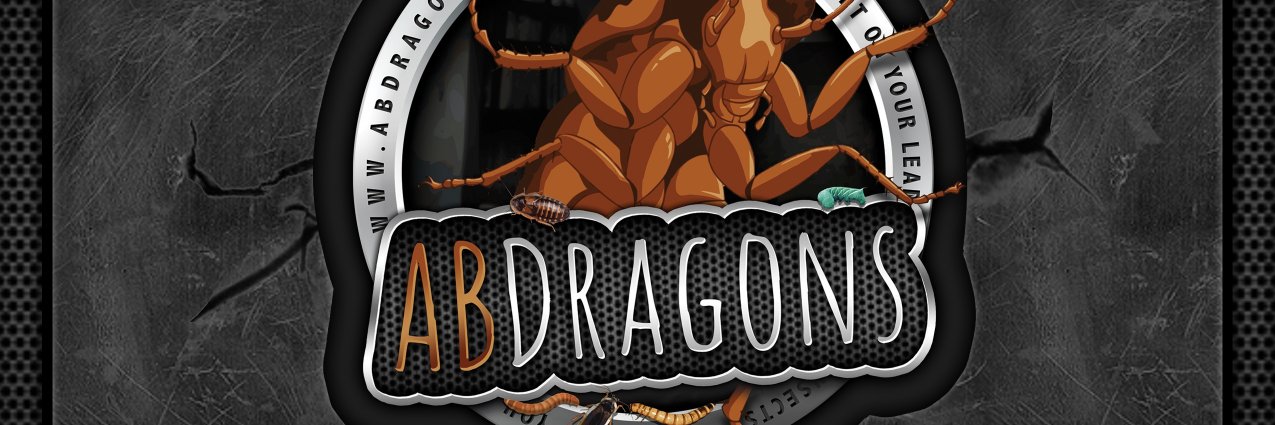 AbDragons's profile banner image