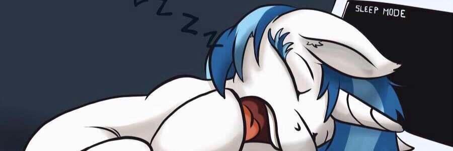 furry_Miami's profile banner image