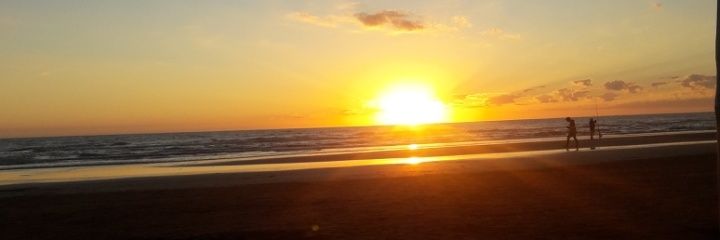 ZoeJawny's profile banner image