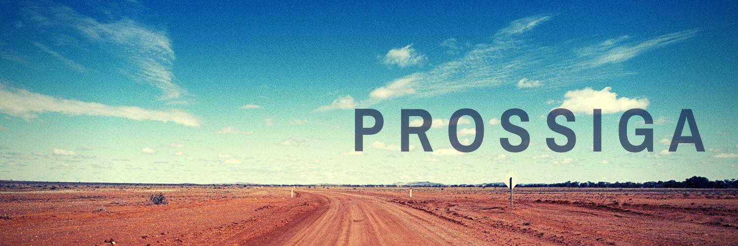 PcoCris's profile banner image
