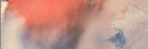lackadaisicowl's profile banner image