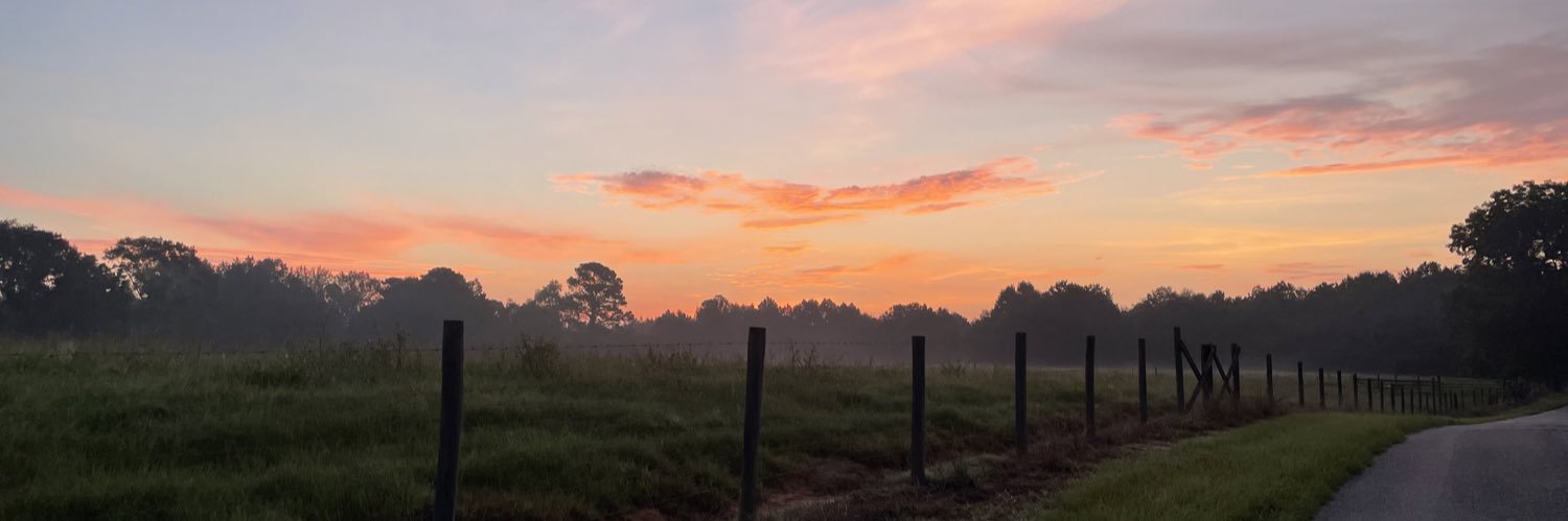taylorstep66's profile banner image