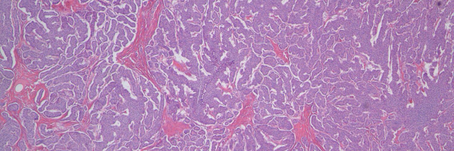 Rashna Meunier, MD banner