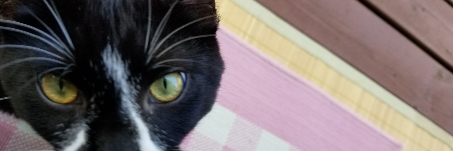 brandon2482's profile banner image