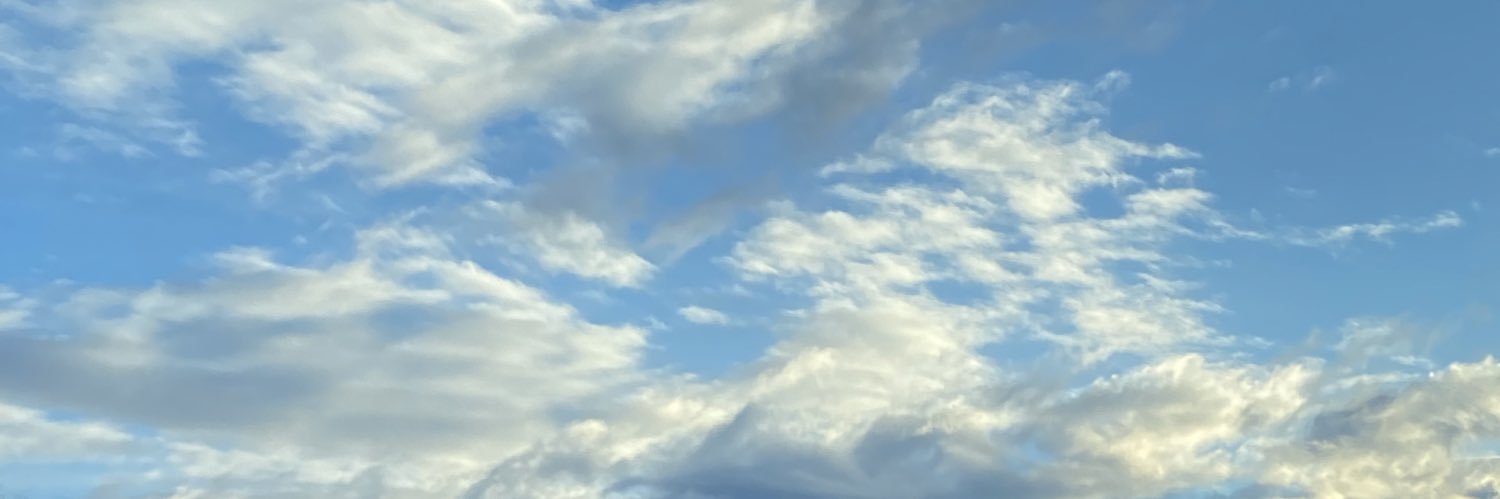 CaptinKittyCat5's profile banner image