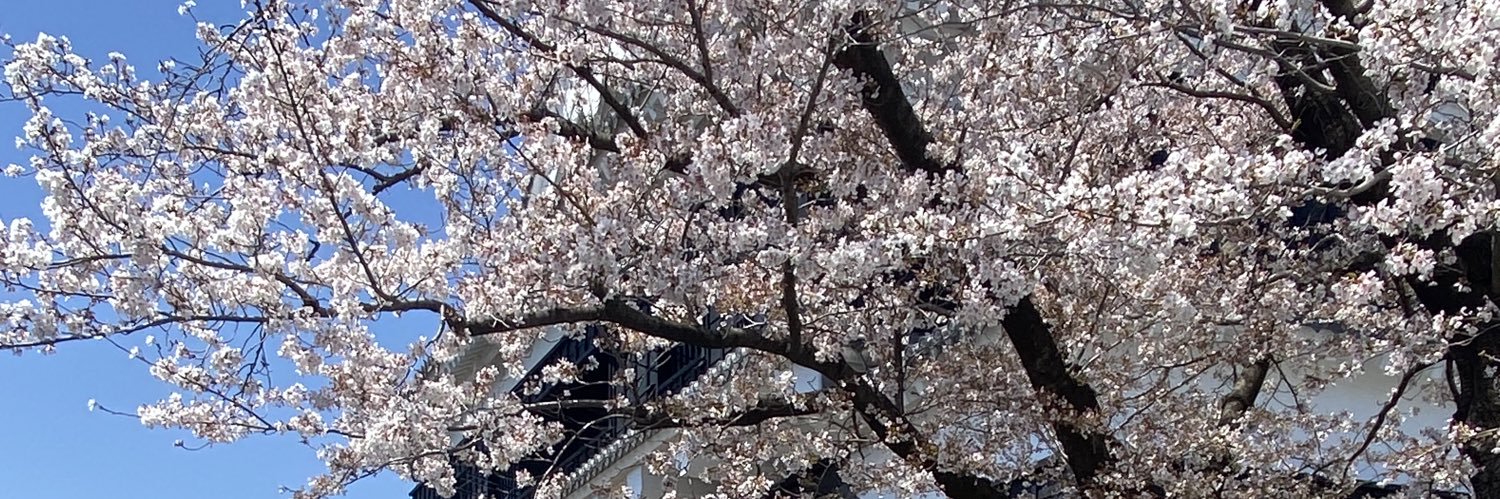 Alohasinsin's profile banner image