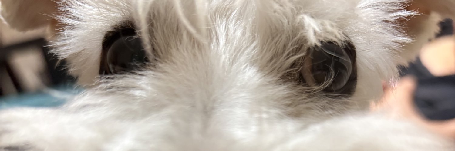 sam_horbiebs's profile banner image