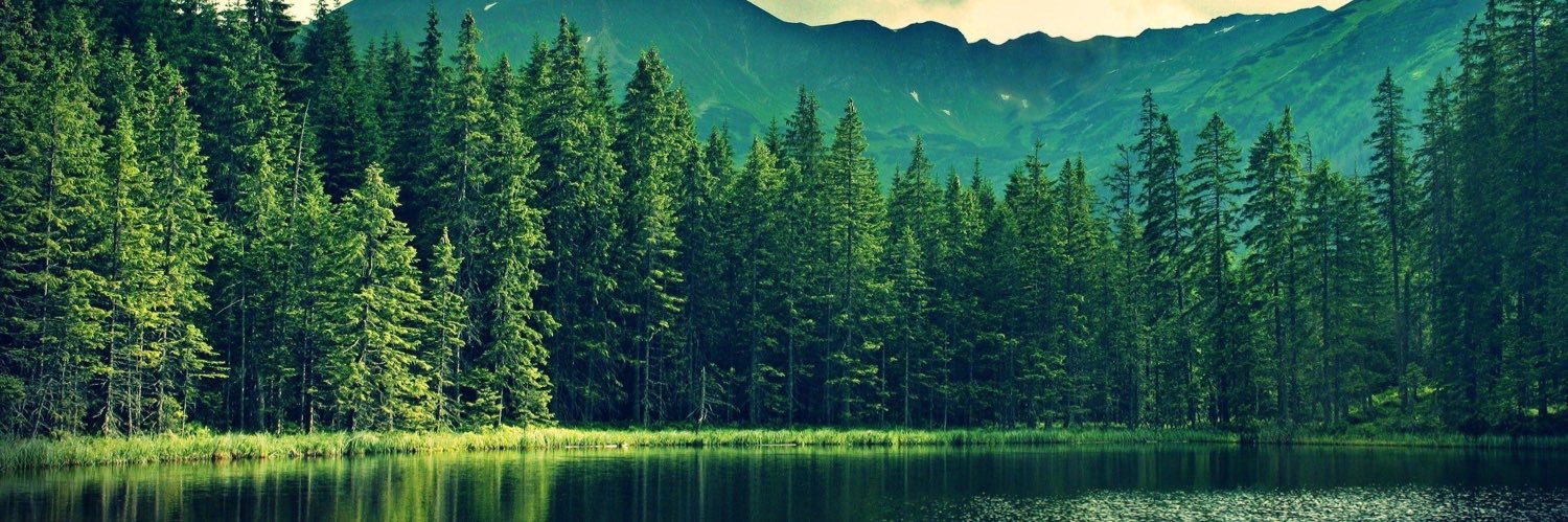 beaumellin's profile banner image