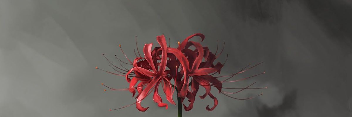 stephffannyyy's profile banner image
