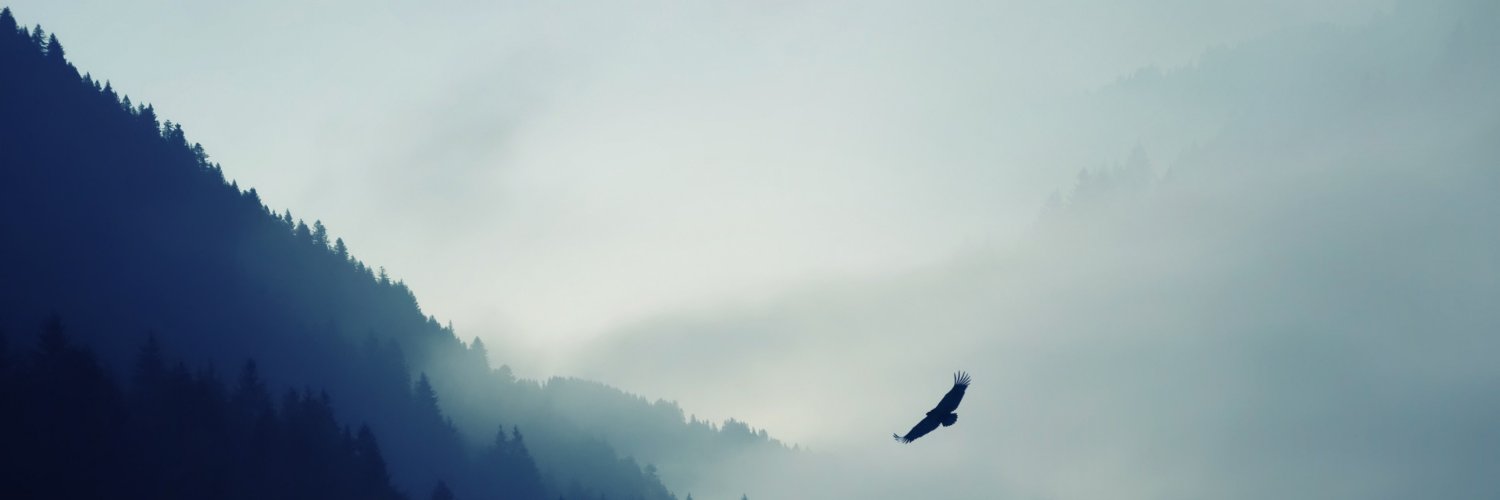 LordVuno's profile banner image