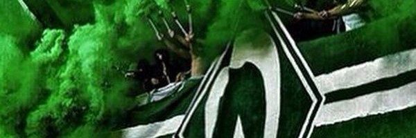 Nicr3x💚 banner