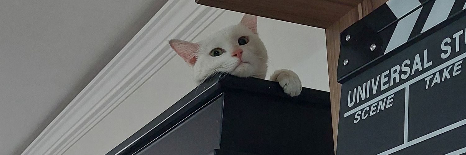 sety_vf's profile banner image