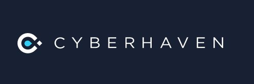 KV_Cyberhaven's profile banner image