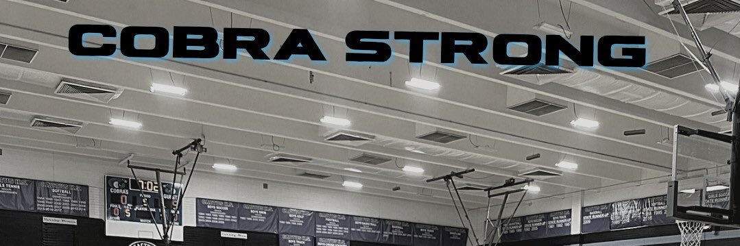 CobraStrong's profile banner image
