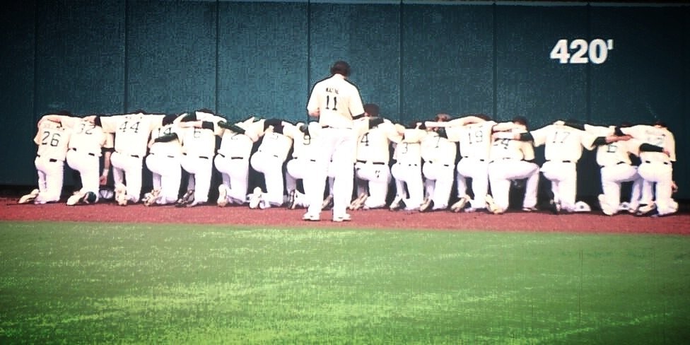 NDPBaseball banner