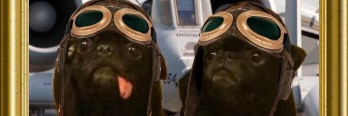 Winston_Wilbur's profile banner image
