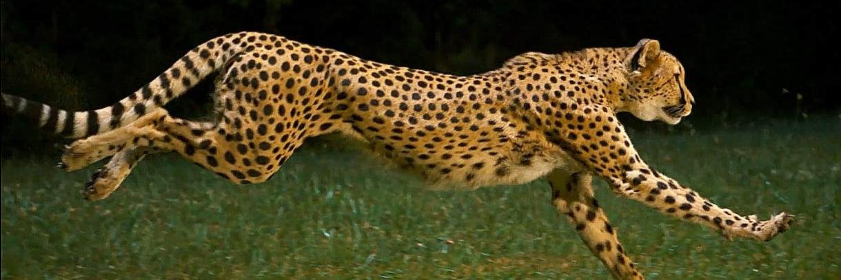 MariaGuerra76's profile banner image