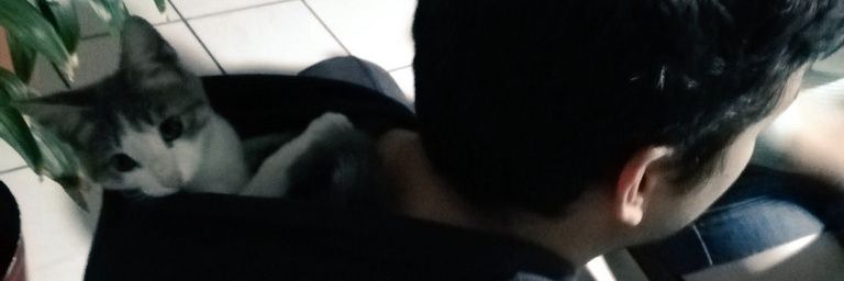 JoseCVA8's profile banner image