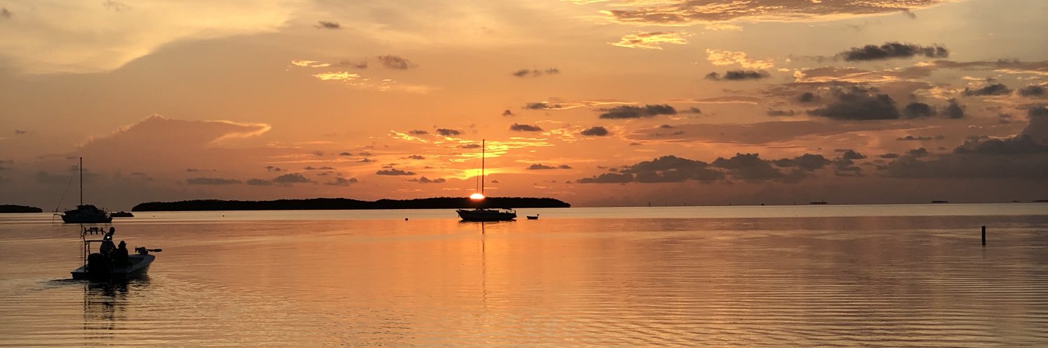 michael_amodeo's profile banner image