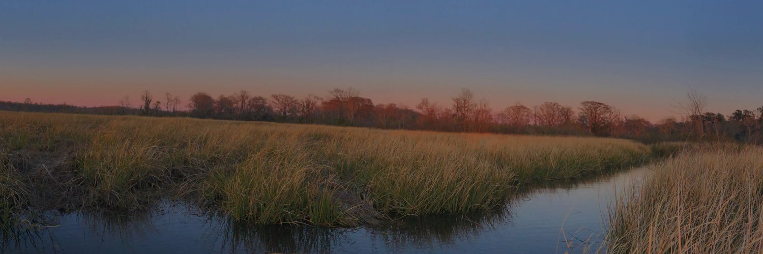 juliaammonzz's profile banner image