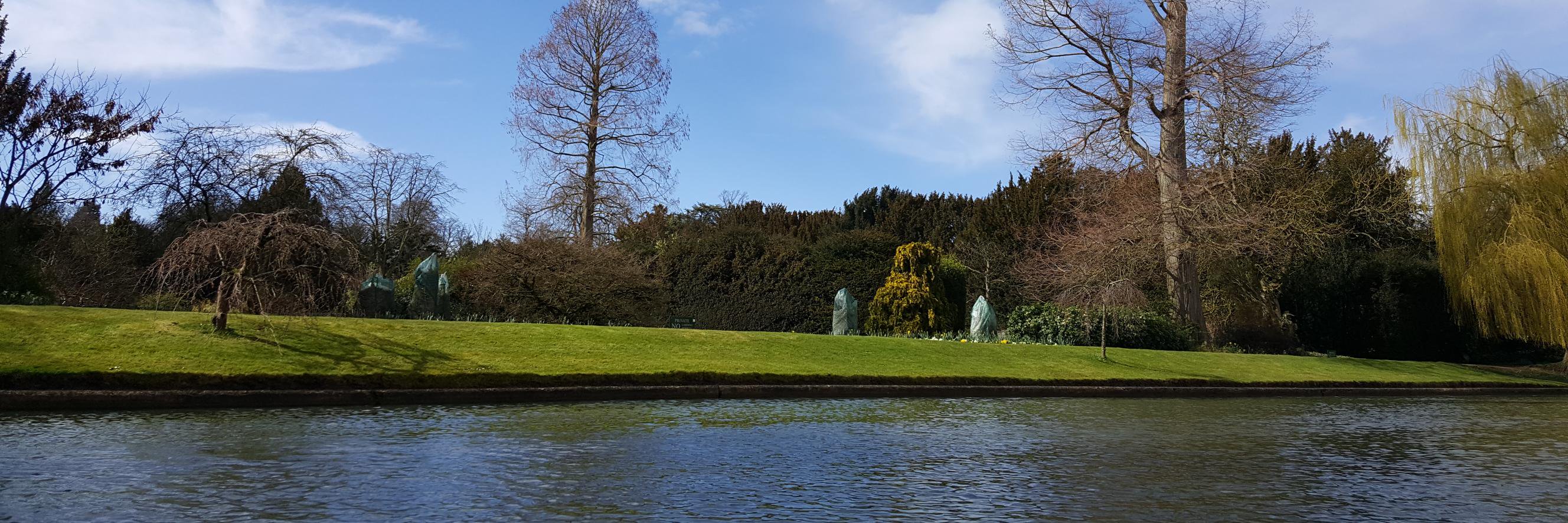 Dr Sushri Sangita Puhan banner