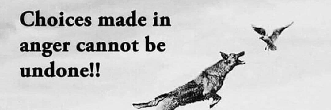 Inspiring Tshepang banner