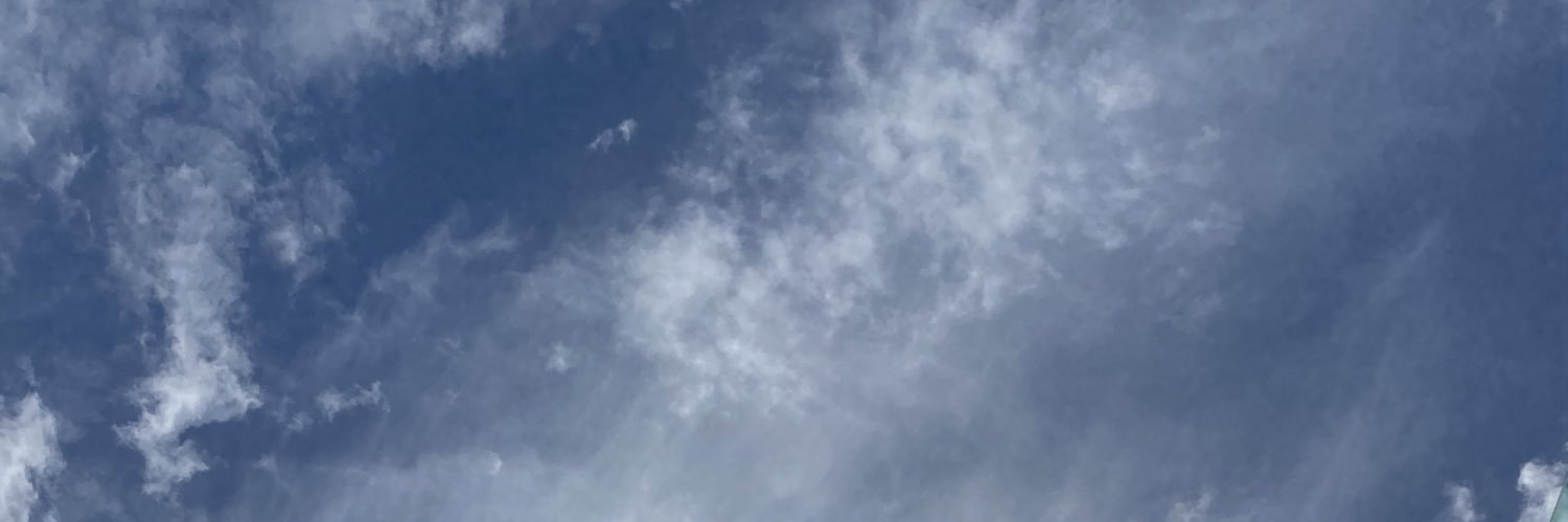 crfbebea's profile banner image