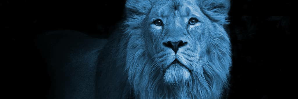 metaVelien's profile banner image