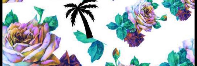dgk_collins's profile banner image