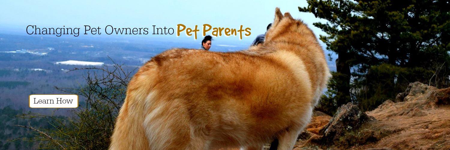 LiveWagBark's profile banner image