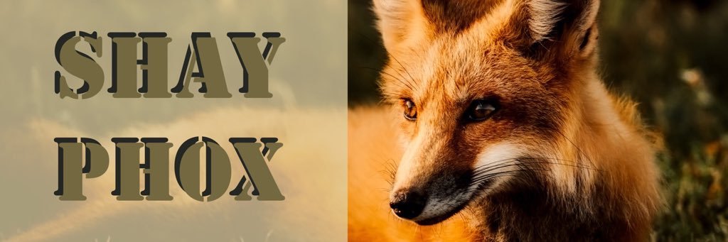 ShayPhox's profile banner image