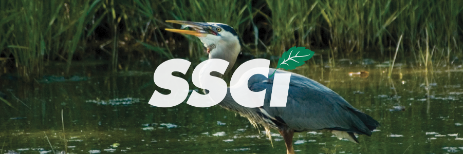 SSCI_media's profile banner image