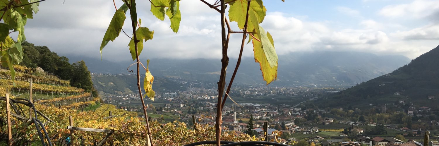 Henning Hartwig banner