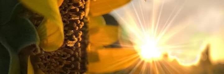 BeckySaa's profile banner image